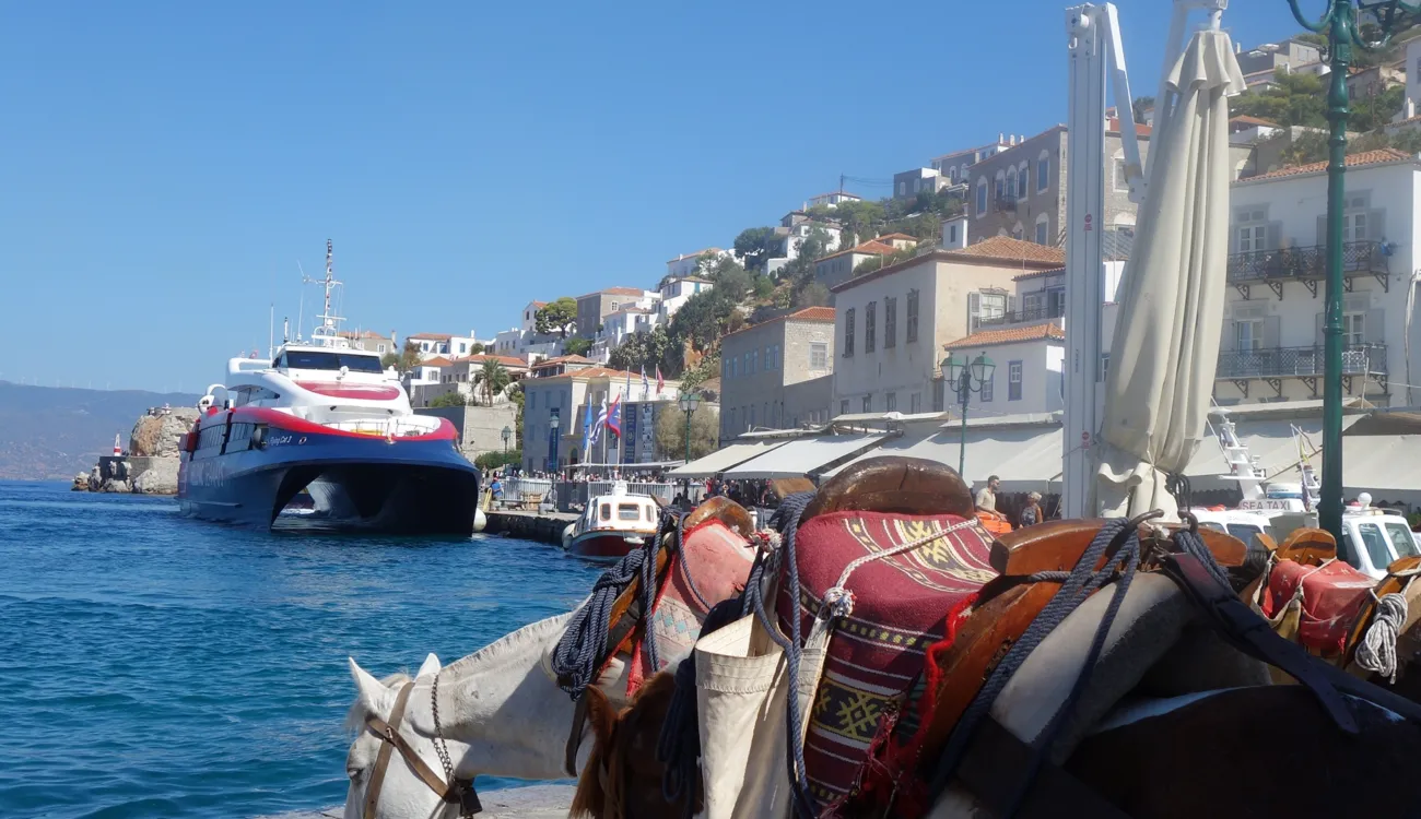 Horses in Hydra