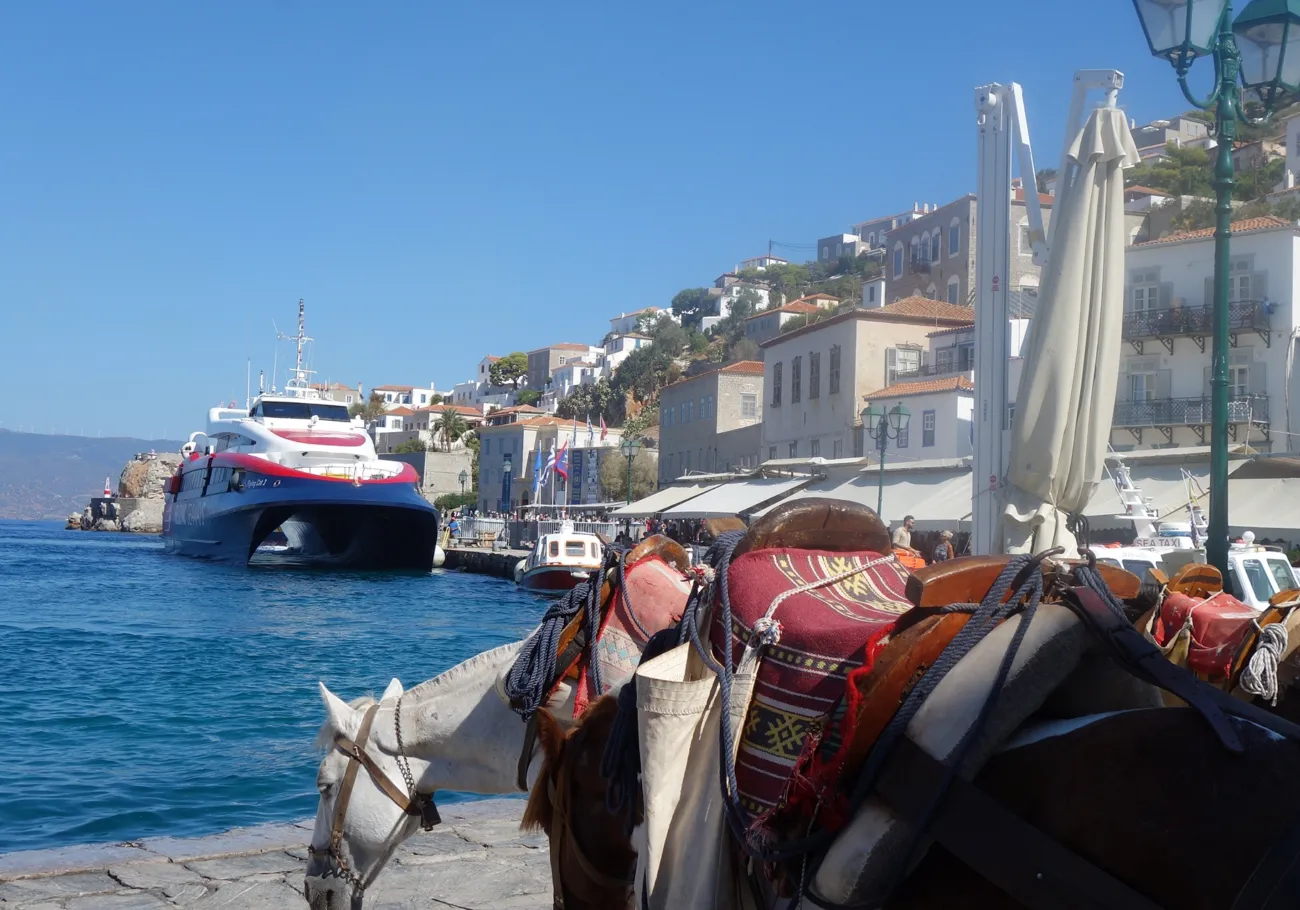 Horses in Hydra